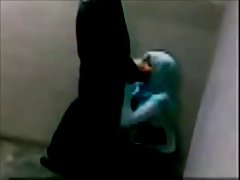 Khiêu dâm đảng người mỹ