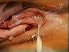 Các ngôi sao của chương trình biza khiêu dâm
